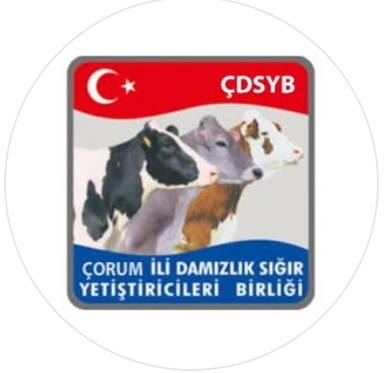 Çorum Damızlık Sığır Yetiştiricileri Birliği