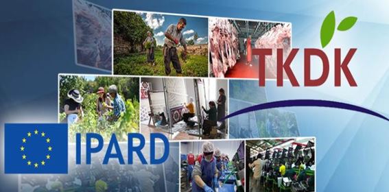Proje Yönetim & Danışmanlık